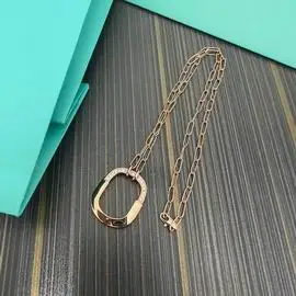 Tiffany necklace lyh58 (8)